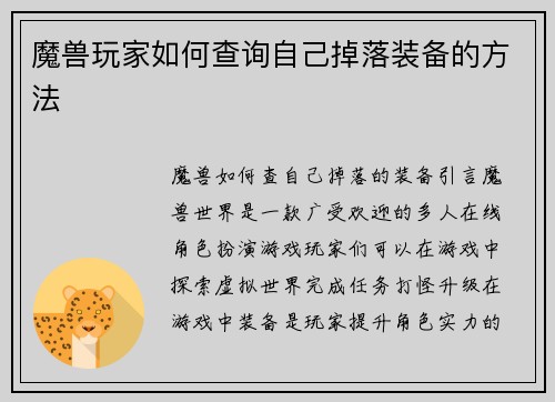 魔兽玩家如何查询自己掉落装备的方法